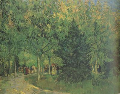 Vincent Van Gogh A Lane in the Public Garden at Arles (nn04) oil painting image